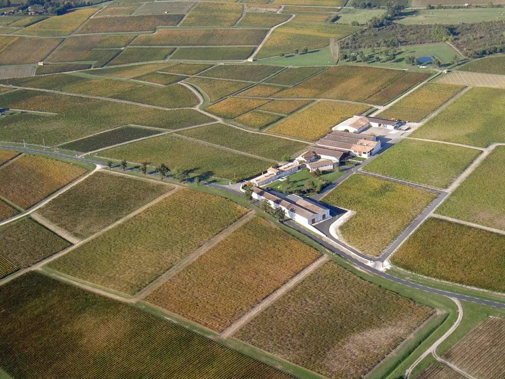 Vue aérienne du vignoble de Sociando-Mallet