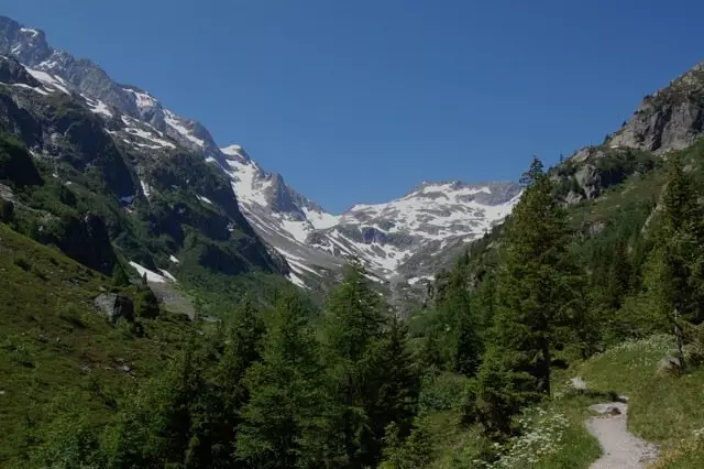 Corton-Charlemagne à Chamonix : la balade de Far away eyes.