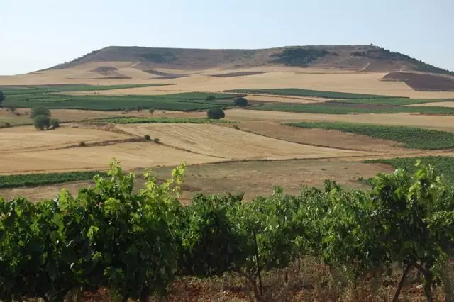 Le vin est un long fleuve tranquille : la Ribera del Duero.