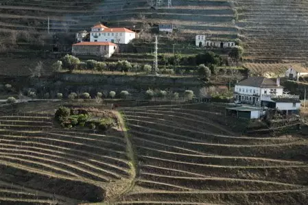 Images du Douro : Vintage Port 1970.